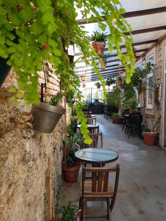 Garden Place Alojamento Local Viseu Exteriör bild